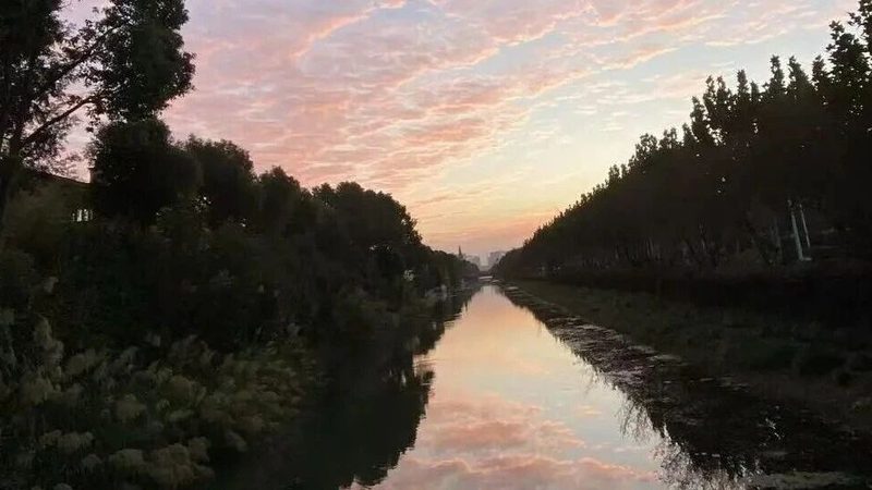 个人如何申请商标注册？流程解析与注意事项